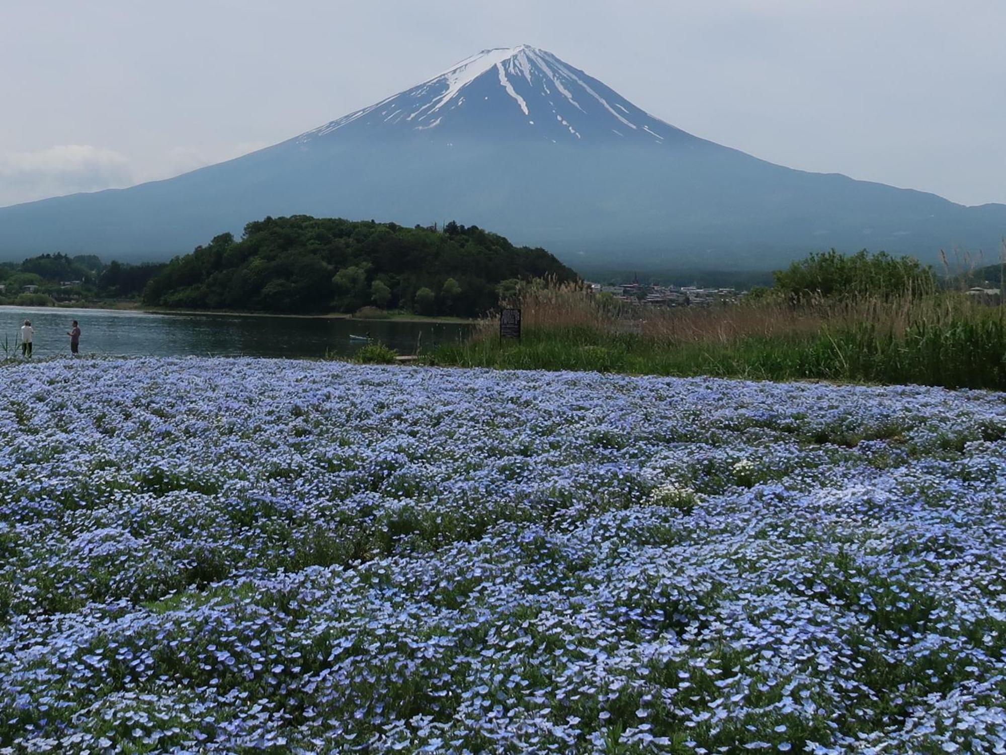 Вілла Kuranoyado Matsuya Фудзі-Каваґутіко Екстер'єр фото